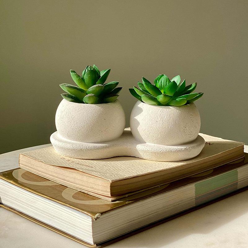 Buy Faux Green Twin Succulent Artificial Plants from Vaaree