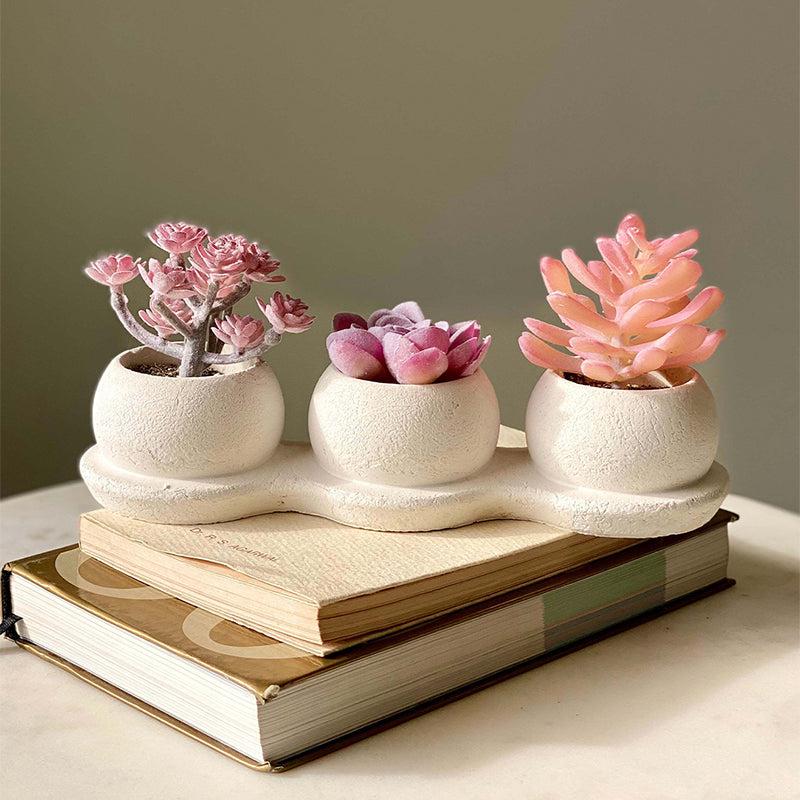 Buy Faux Pink Trio Succulents Artificial Plants from Vaaree