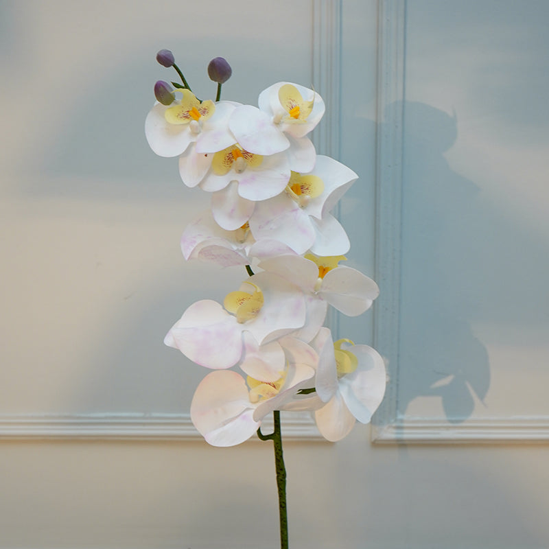 Buy Faux Orchid Flower Stick (White) - 40 CM Artificial Flowers from Vaaree