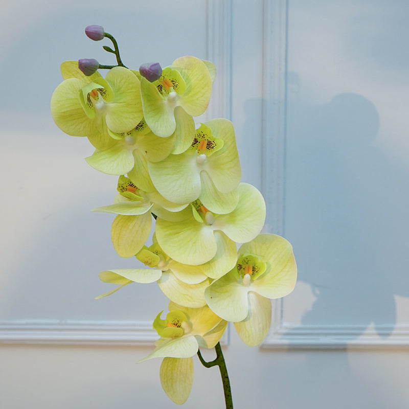 Buy Faux Orchid Flower Stick (Green) - 40 CM Artificial Flowers from Vaaree