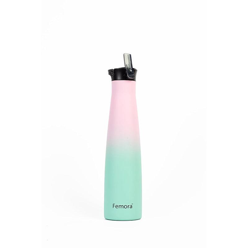 Bottle - Vesatao Insulated Water Bottle (700 ML) - Pink & Green