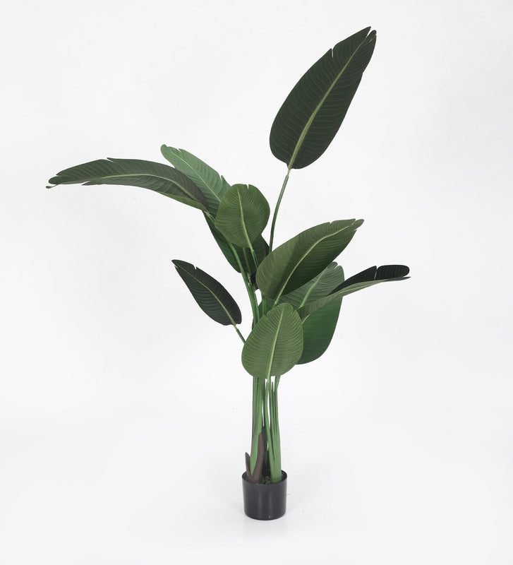 Artificial Plants - Faux Tropical Banana Plant With Pot - 4.9 Feet