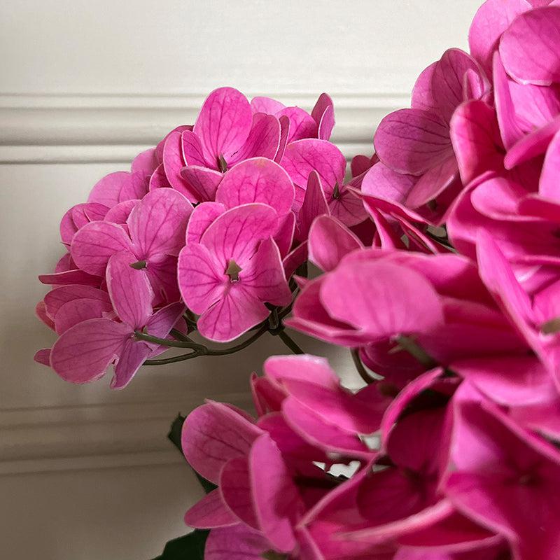 Buy Faux Everlasting Hydrangea Flower Stick - Bright Pink Artificial Flowers from Vaaree