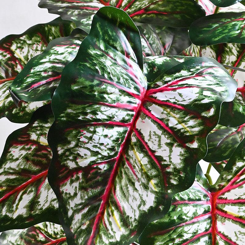 Buy Faux Tropical Caladium Plant With Pot - 2.6 Feet Artificial Plants from Vaaree