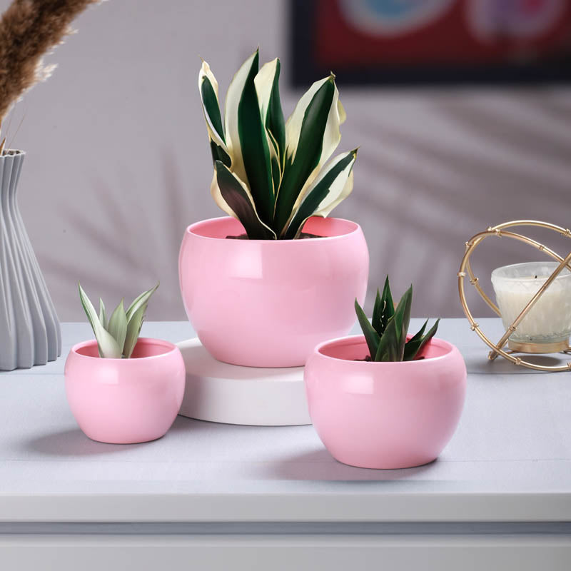 Buy Alisha Handcrafted Planter (Pink) - Set Of Three Pots & Planters from Vaaree