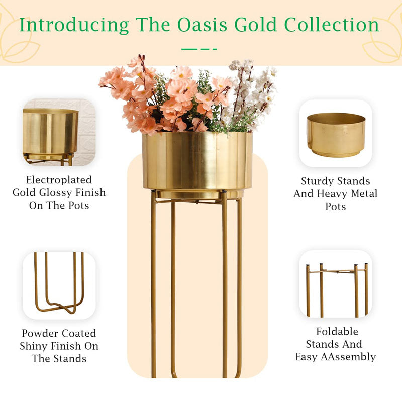 Buy Blacia Oasis Planter (Gold) - Set Of Two Pots & Planters from Vaaree