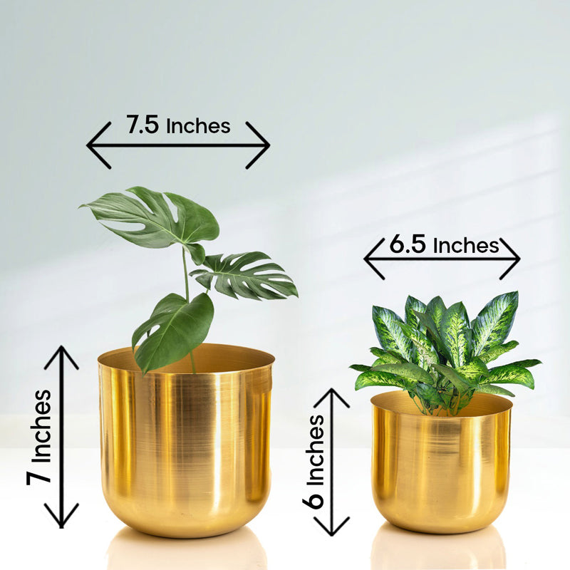 Buy Luxe Glow Planter (Gold) - Set Of Two Pots & Planters from Vaaree