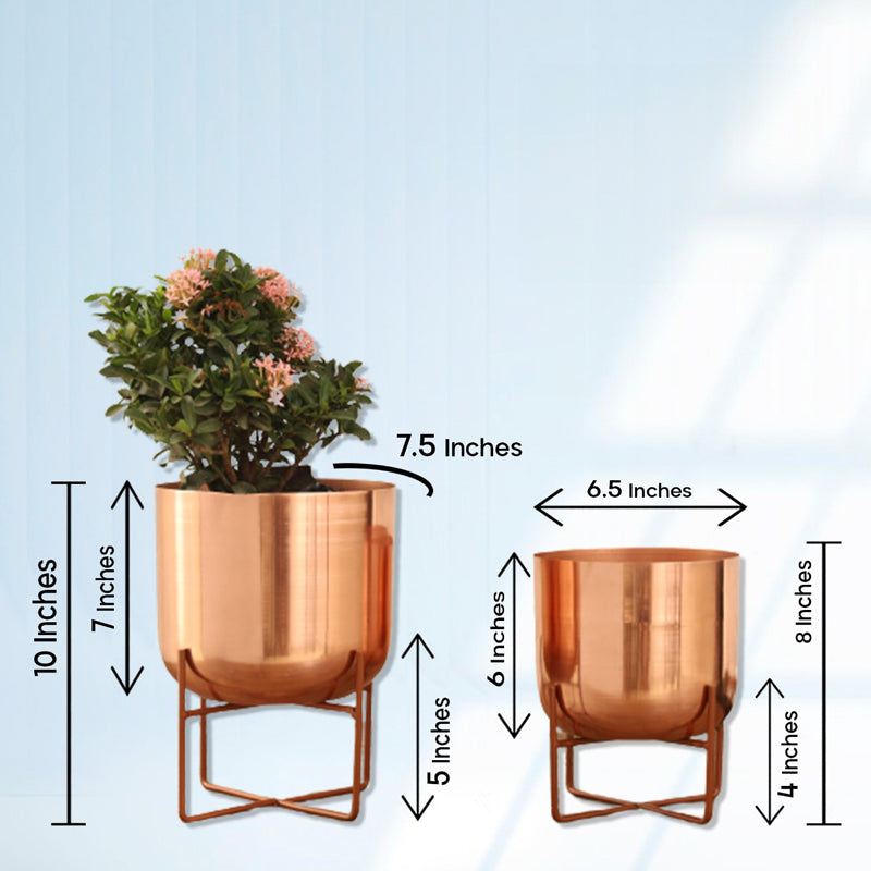 Buy Zeren Olive Planter (Rose Gold) - Set Of Two Pots & Planters from Vaaree