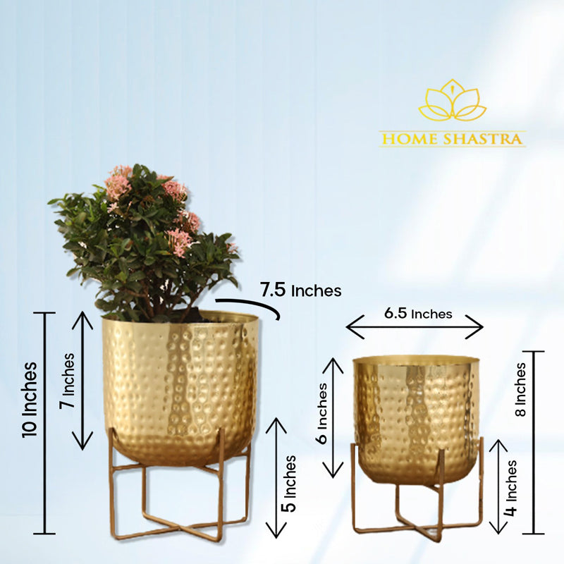 Buy Zeren Olive Hammered Planter (Gold) - Set Of Two Pots & Planters from Vaaree