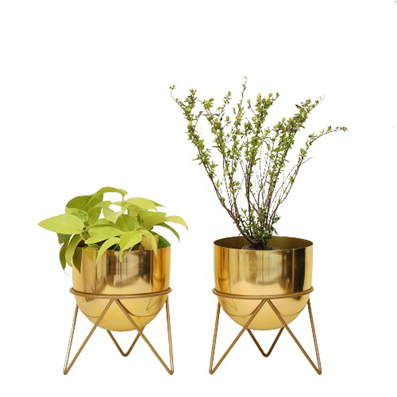 Buy Nuksa Zig Zag Planter (Gold) - Set Of Two Pots & Planters from Vaaree