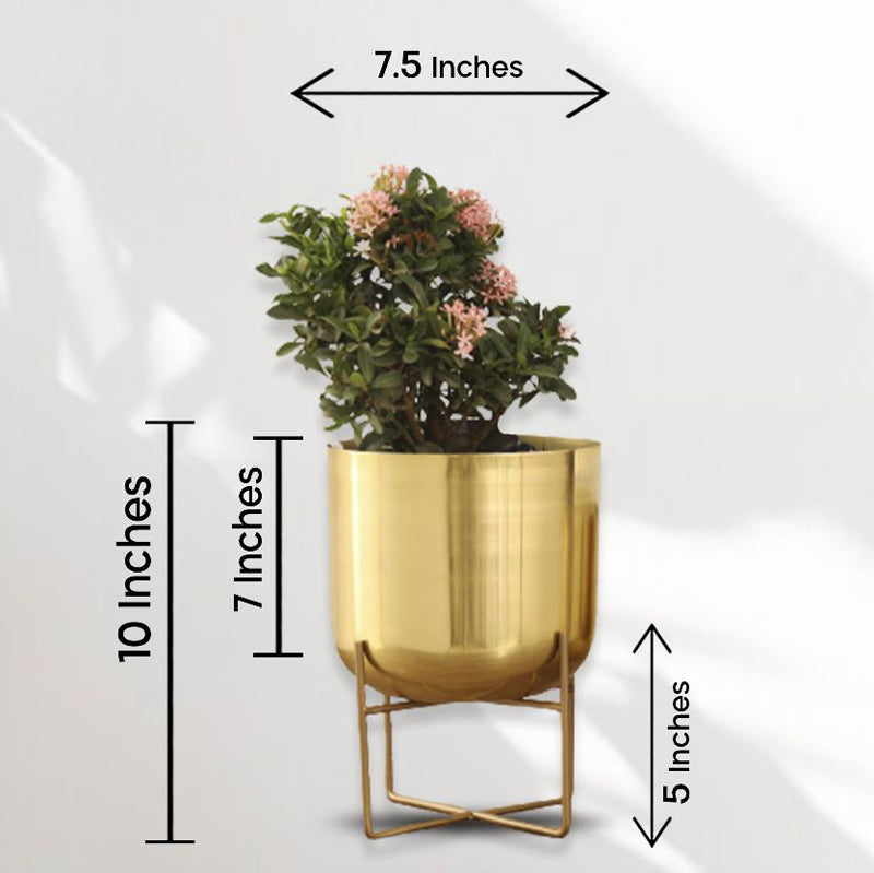 Buy Zeren Olive Planter - Gold Pots & Planters from Vaaree