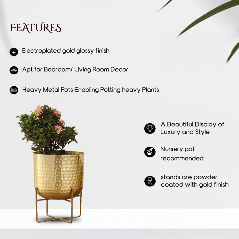 Buy Zeren Olive Hammered Planter - Gold Pots & Planters from Vaaree