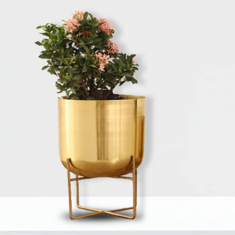 Buy Zeren Olive Planter - Gold Pots & Planters from Vaaree