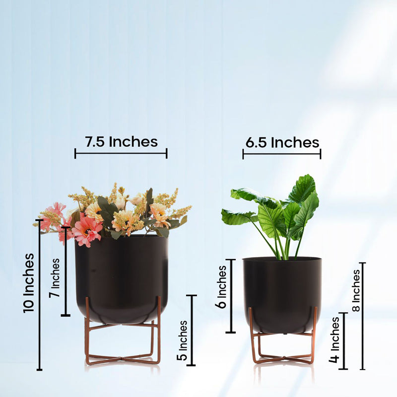 Buy Zeren Olive Hammered Planter (Black) - Set Of Two Pots & Planters from Vaaree