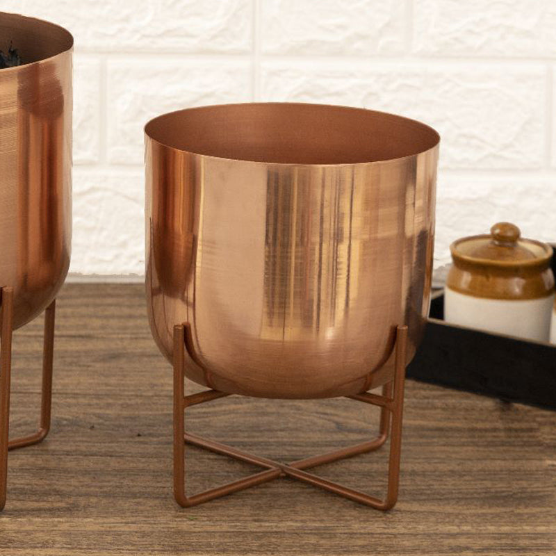 Buy Zeren Olive Planter (Rose Gold) - Set Of Two Pots & Planters from Vaaree