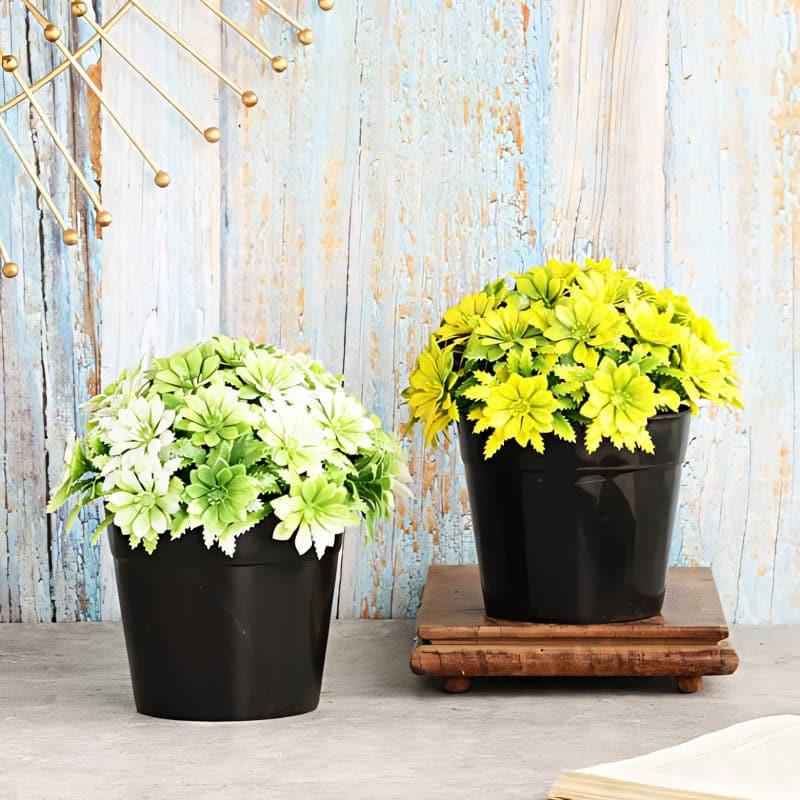Artificial Flowers - Aster Faux Plant In Sadro Pot - Set Of Two