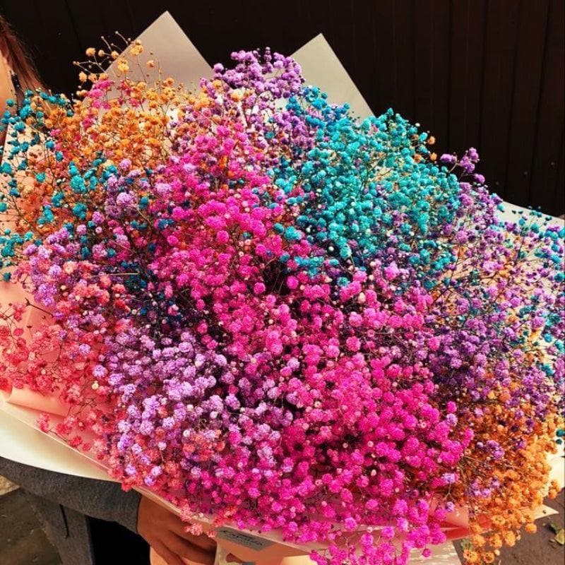 Buy Baby Breath Gypsophila Stems - Set Of Seven Artificial Flowers from Vaaree