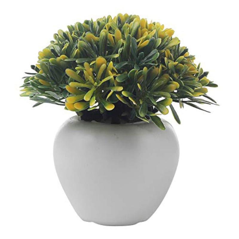 Buy Chlora Faux Plant In Apple Pot - Set Of Three Artificial Flowers from Vaaree