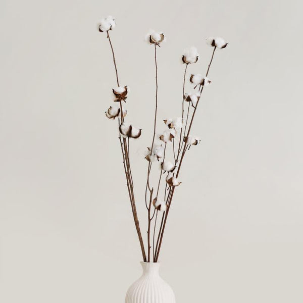 Artificial Flowers - Cuzi Dried Cotton Stick (Silver) - Set Of Fifteen Pods