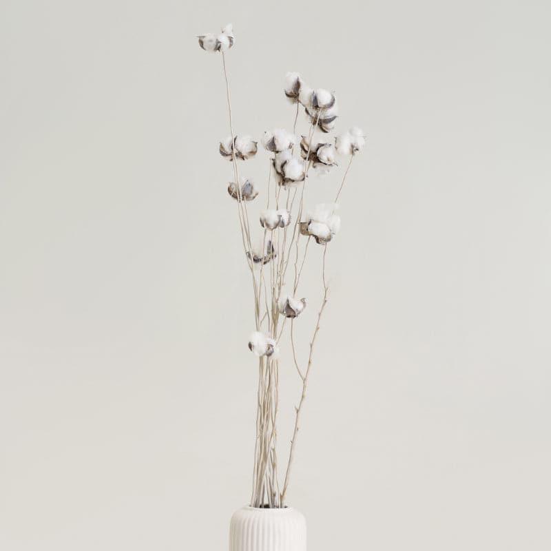 Buy Cuzi Dried Cotton Stick (White) - Set Of Fifteen Pods Artificial Flowers from Vaaree