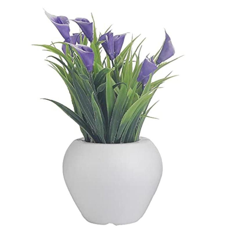 Buy Ember Faux Plant Apple Pot (Purple & Pink) - Set Of Two Artificial Flowers from Vaaree