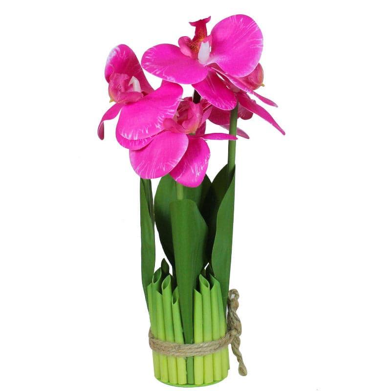 Buy Faux Boat Orchid Plant - Pink Artificial Flowers from Vaaree