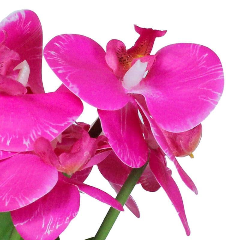 Buy Faux Boat Orchid Plant - Pink Artificial Flowers from Vaaree