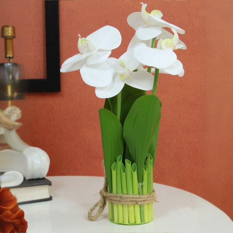 Buy Faux Boat Orchid Plant - White Artificial Flowers from Vaaree