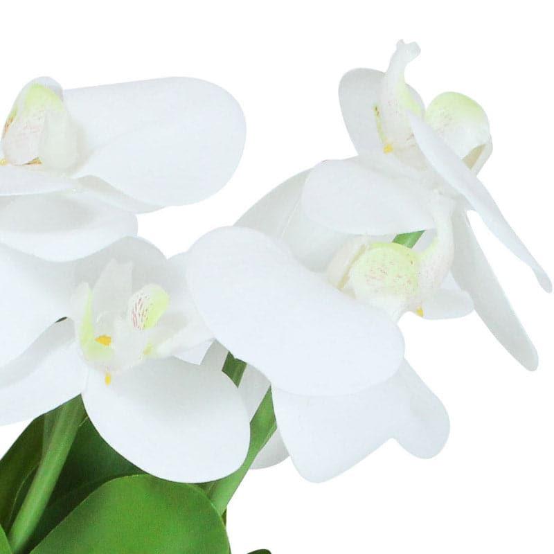 Buy Faux Boat Orchid Plant - White Artificial Flowers from Vaaree