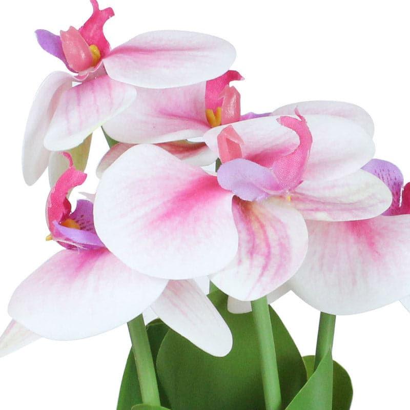 Buy Faux Boat Orchid Plant - White & Pink Artificial Flowers from Vaaree