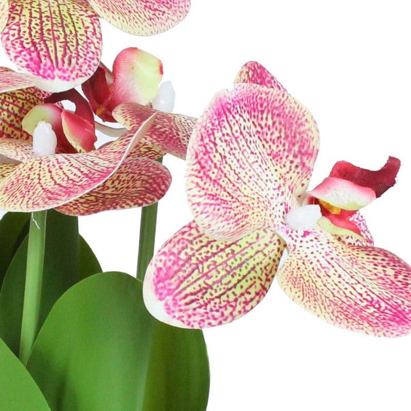 Artificial Flowers - Faux Cambria Orchid Plant