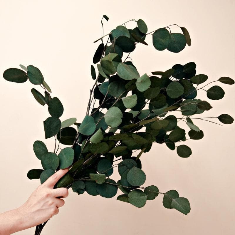 Buy Faux Million Dollar Eucalyptus - Set Of Five Artificial Flowers from Vaaree