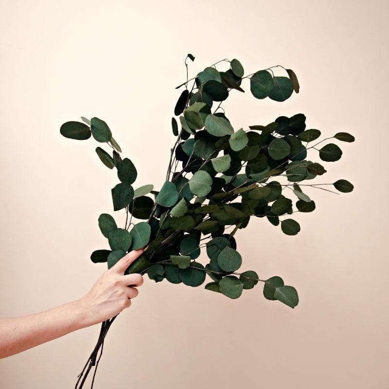 Artificial Flowers - Faux Million Dollar Eucalyptus - Set Of Five