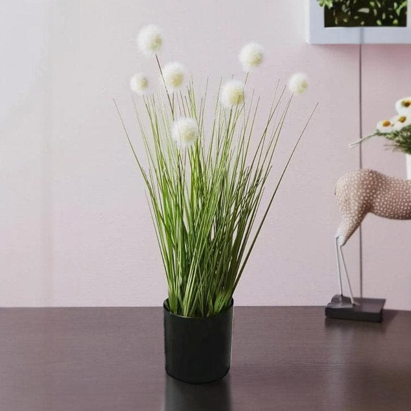 Buy Faux Pompom Grass With Pot Artificial Flowers from Vaaree