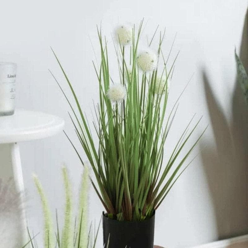 Buy Faux Pompom Grass With Pot Artificial Flowers from Vaaree