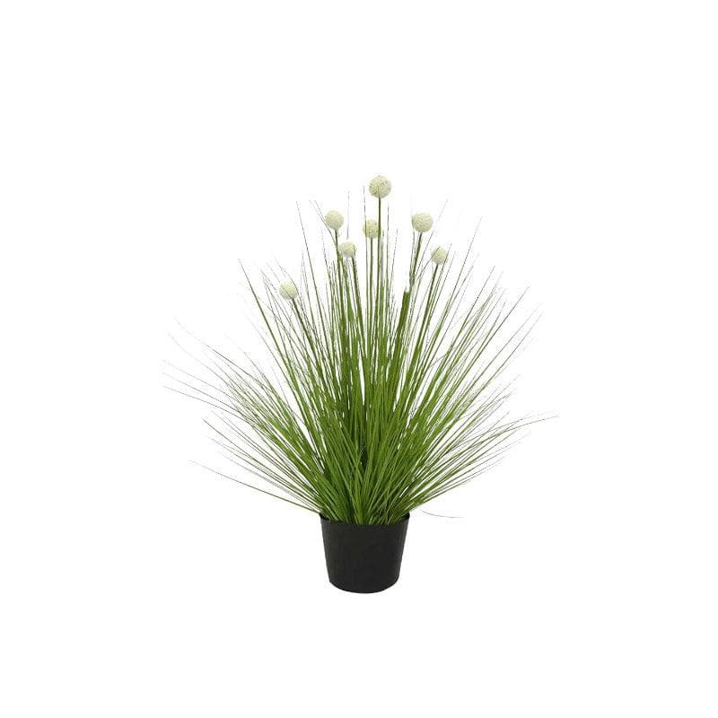 Buy Faux Pompom Grass With Pot Artificial Flowers from Vaaree