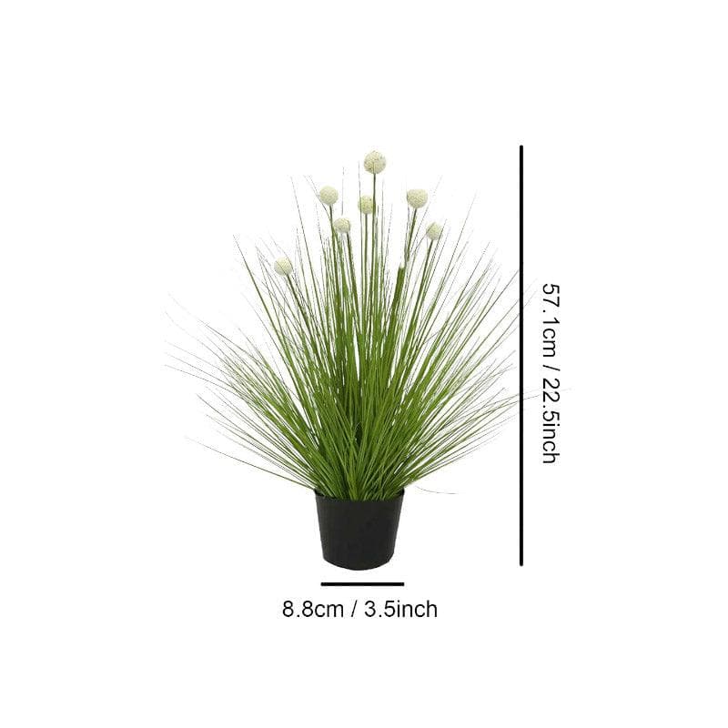 Buy Faux Pompom Grass With Pot Artificial Flowers from Vaaree