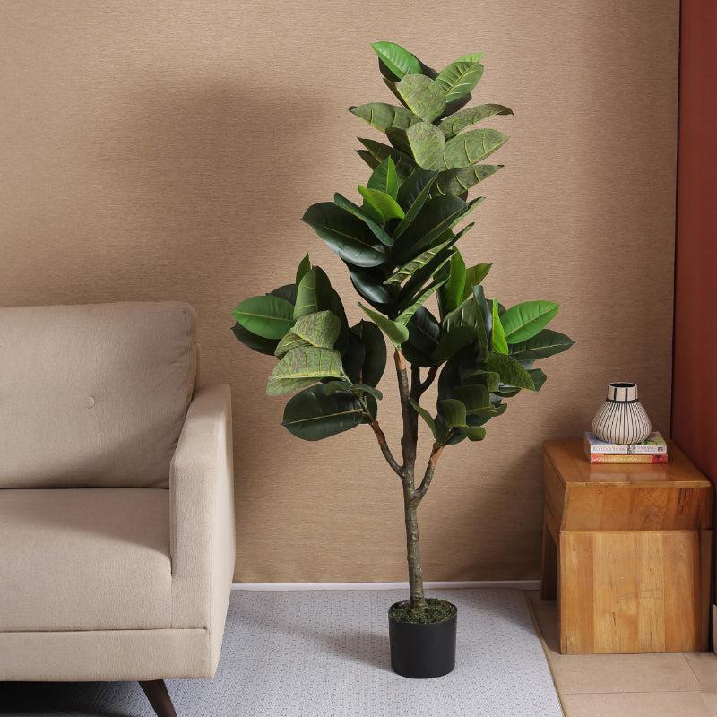 Buy Faux Rubber Plant With Pot Artificial Plants from Vaaree