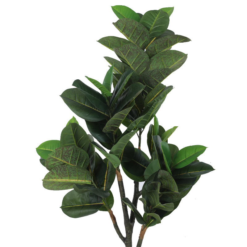 Buy Faux Rubber Plant With Pot Artificial Plants from Vaaree