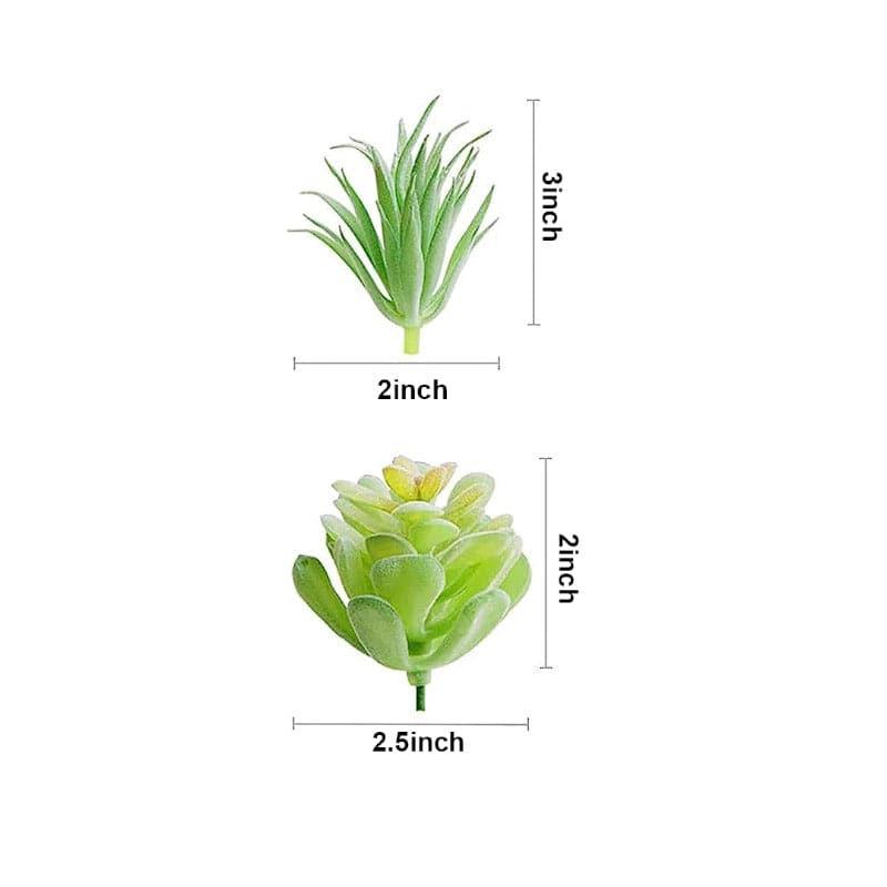 Buy Faux Succulent Plant - Set Of Six Artificial Flowers from Vaaree