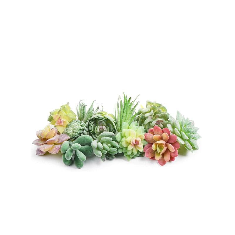 Buy Faux Succulent Plant - Set Of Twelve Artificial Flowers from Vaaree