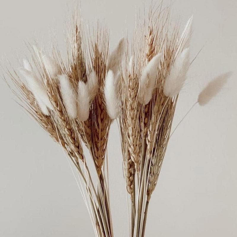 Buy Faux Wheat Grass And Bunny Tails Bunch - Set Of Thirty Artificial Flowers from Vaaree