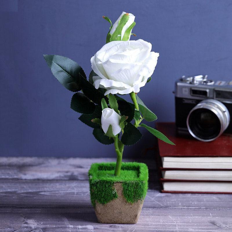 Buy Faux White Rose In Fern pot Artificial Flowers from Vaaree