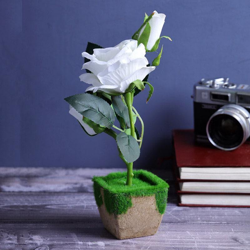 Buy Faux White Rose In Fern pot Artificial Flowers from Vaaree