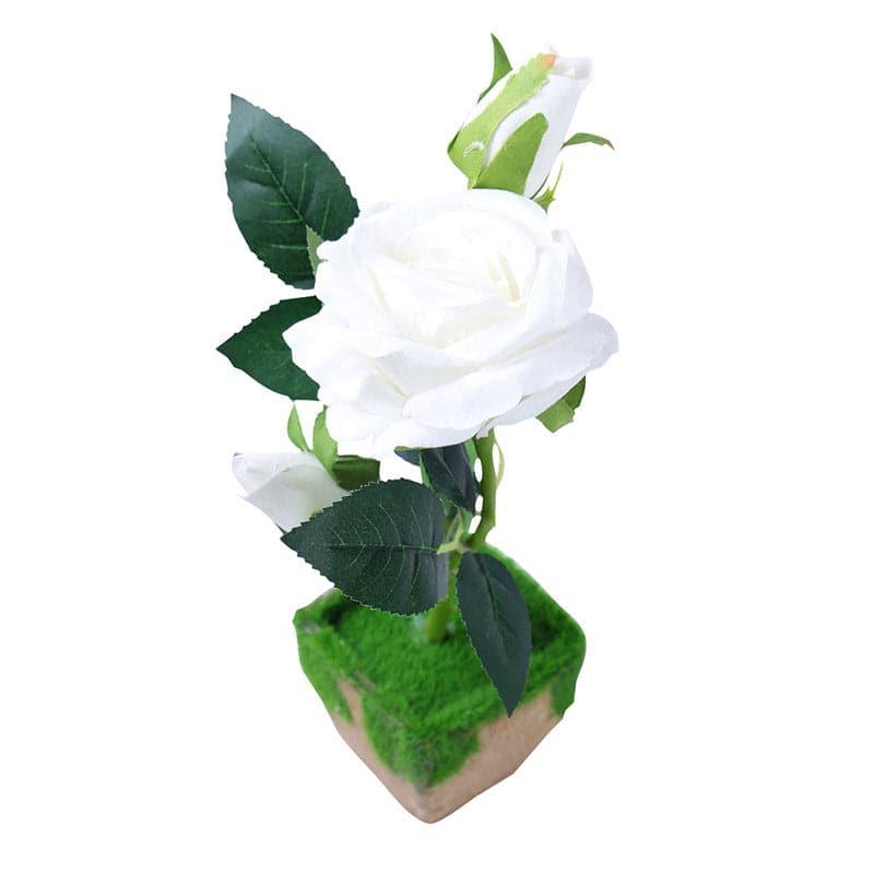 Artificial Flowers - Faux White Rose In Fern pot