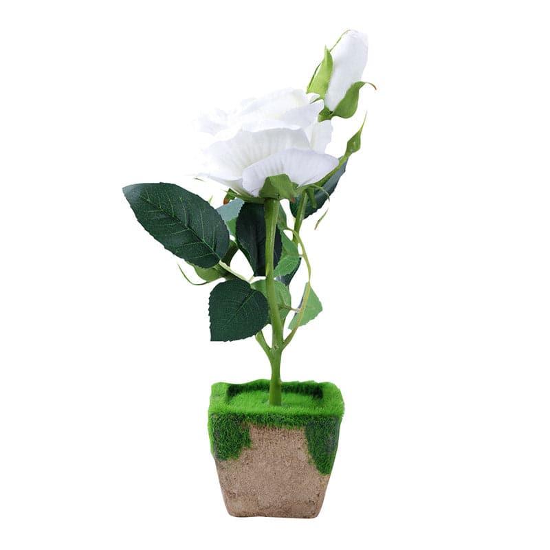 Artificial Flowers - Faux White Rose In Fern pot