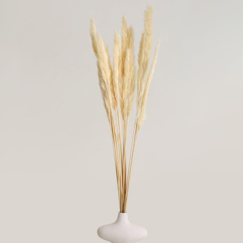 Artificial Flowers - Fuzi Dried Pampas Stick - Set Of Fifteen