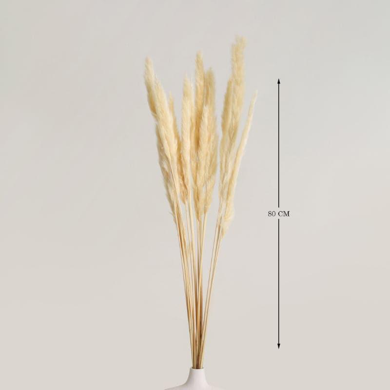 Buy Fuzi Dried Pampas Stick - Set Of Fifteen Artificial Flowers from Vaaree