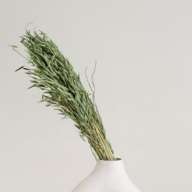 Buy Hazo Dried Havana Grass Bunch - Green Artificial Flowers from Vaaree