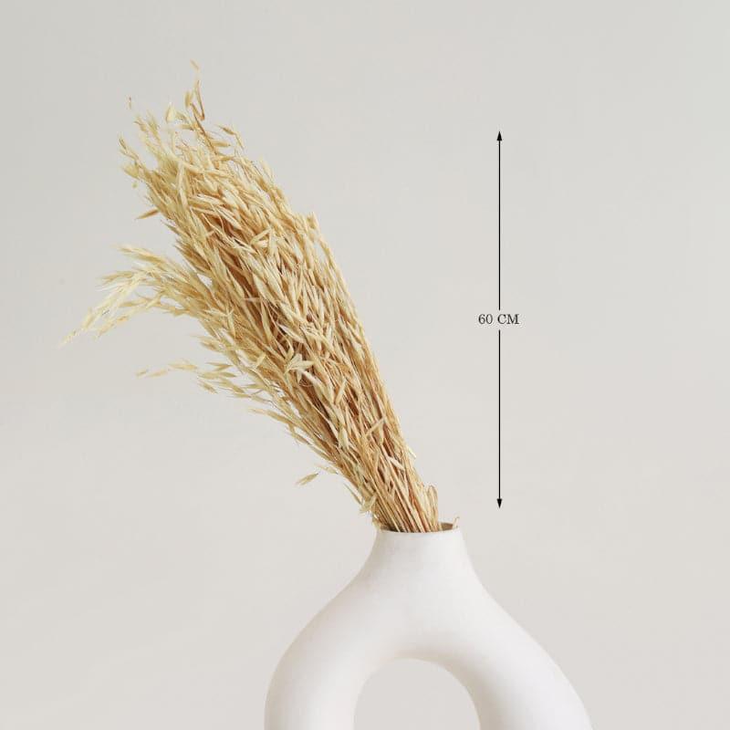 Buy Hazo Millet Grass Dried Havana Grass Bunch - White Artificial Flowers from Vaaree